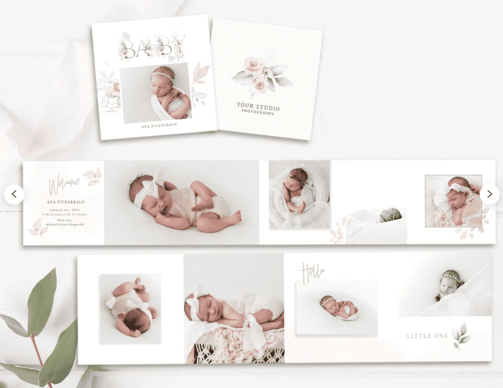 stephanie eight 2048x1579